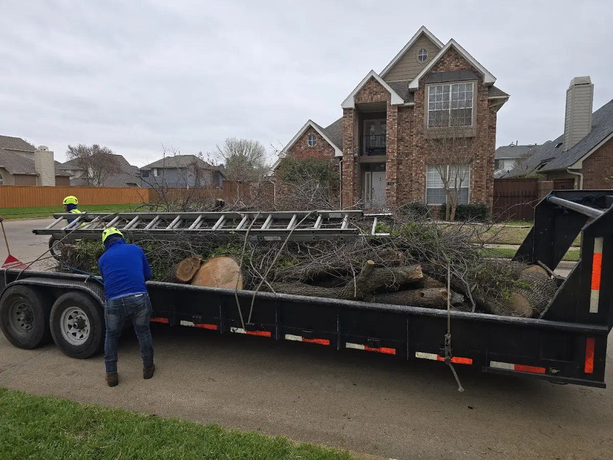 Expert Tree Fertilization with proper safety equipment in Owego